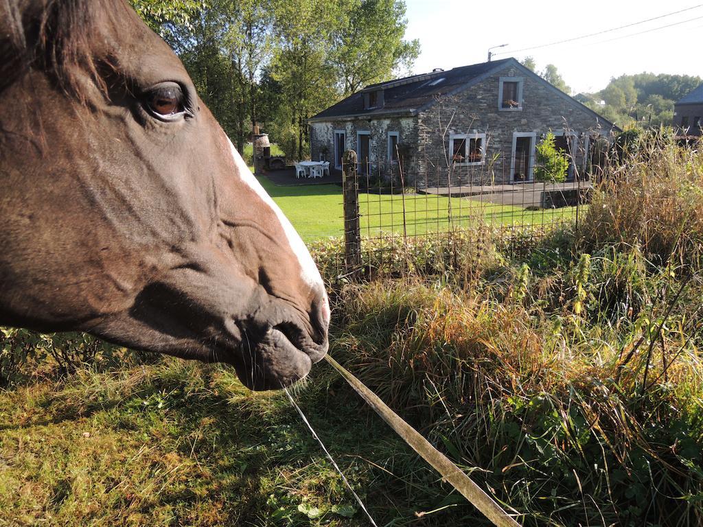 Une Parenthese En Ardenne Nollevaux 客房 照片